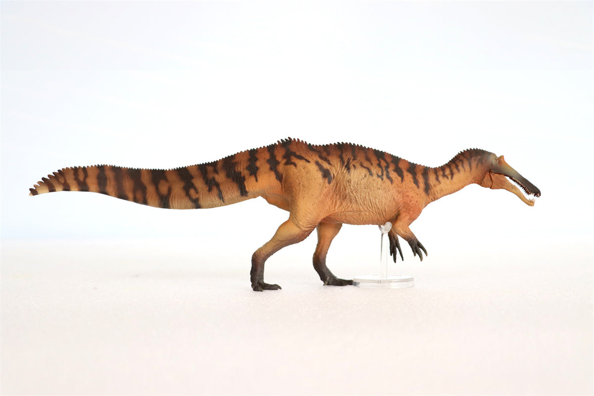 PNSO Sinopliosaurus Chongzuo Model