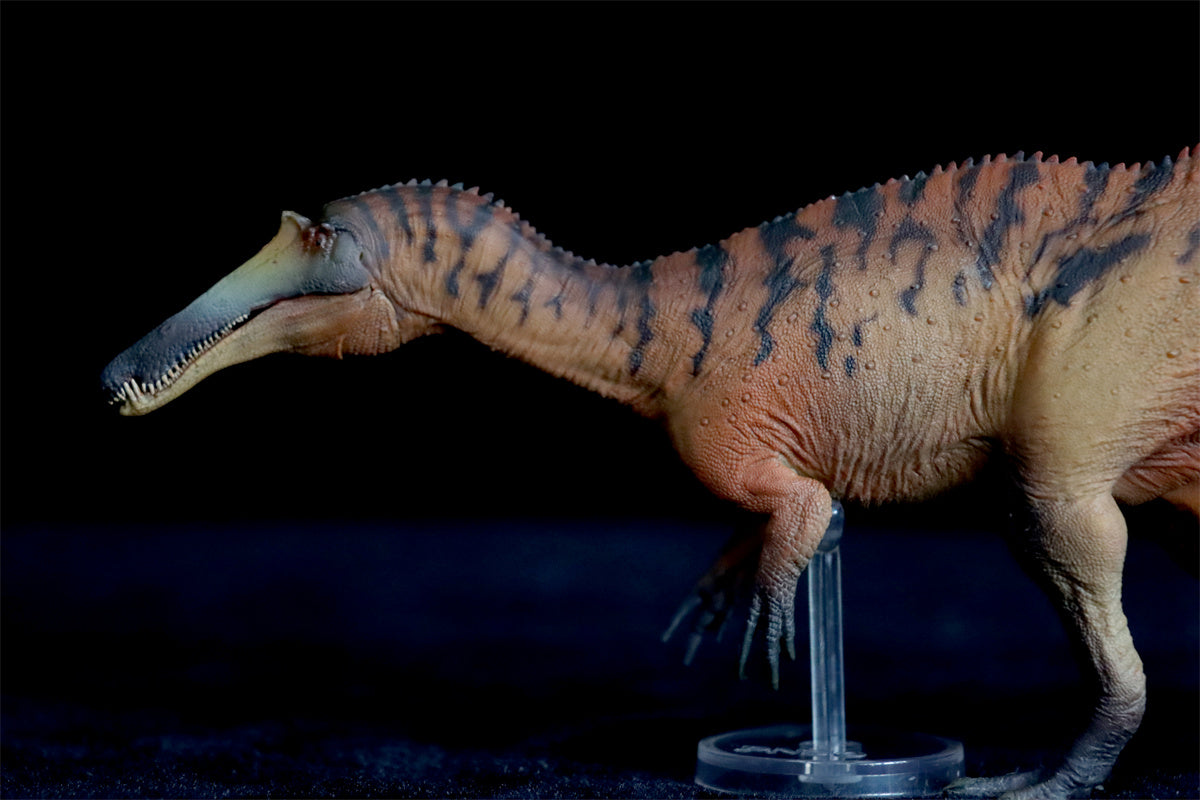 PNSO Sinopliosaurus Chongzuo Model