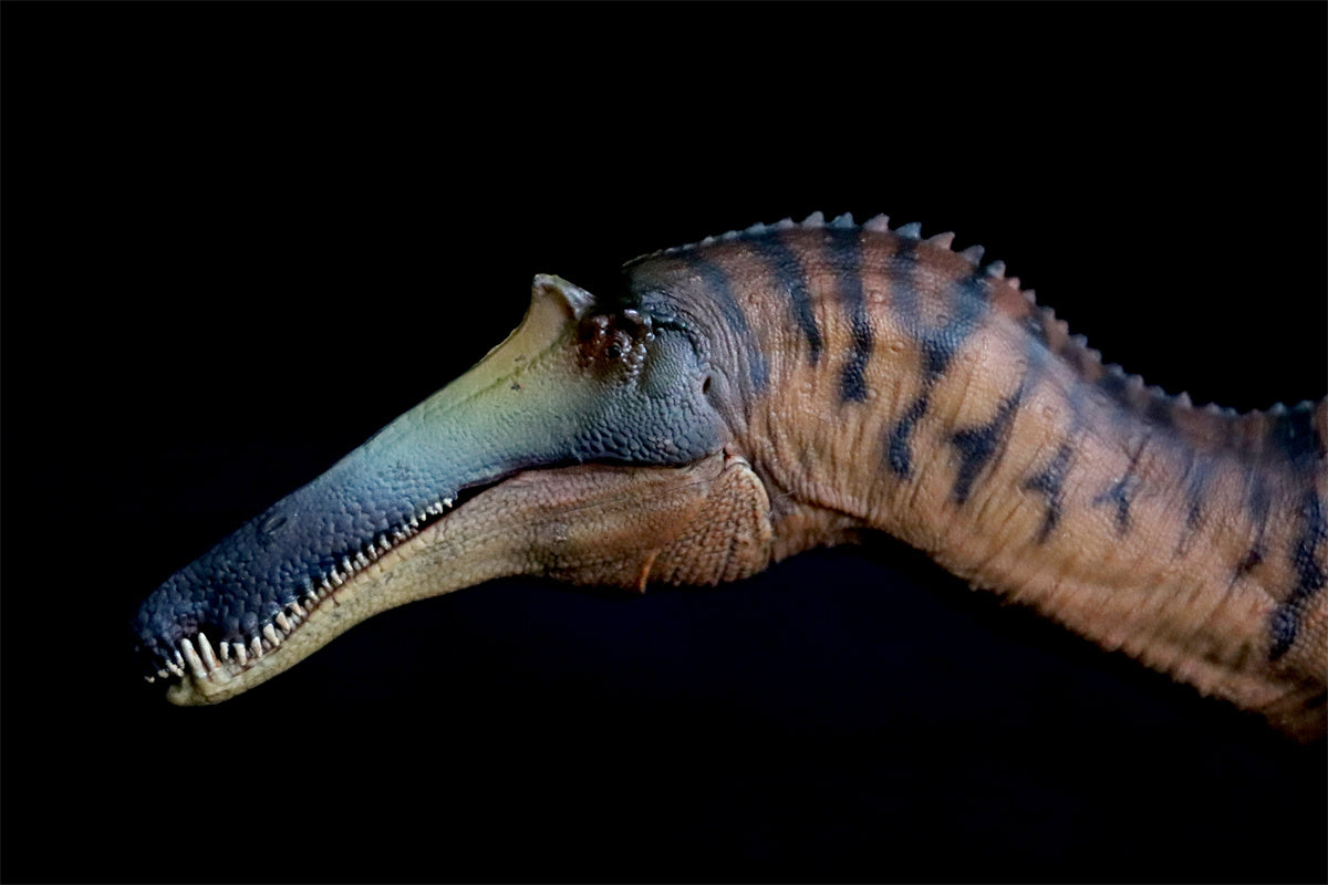 PNSO Sinopliosaurus Chongzuo Model