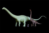 Maraapunisaurus fragillimus Model Kit