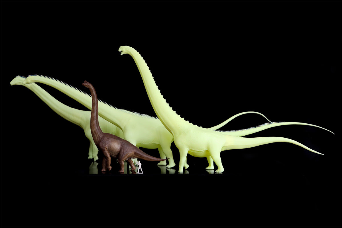 Barosaurus Model Kit