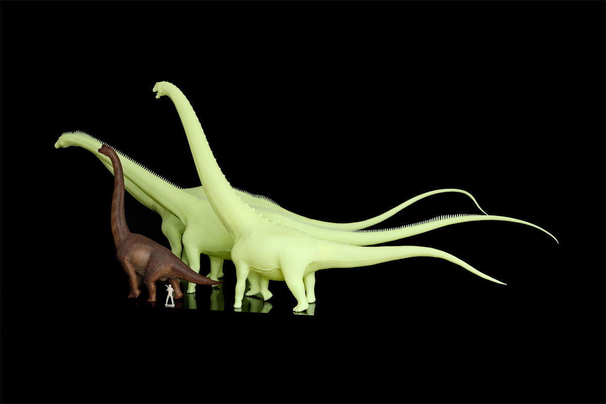 Barosaurus Model Kit