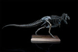 1/20 Tyrannosaurus Rex Trix Skeleton Model