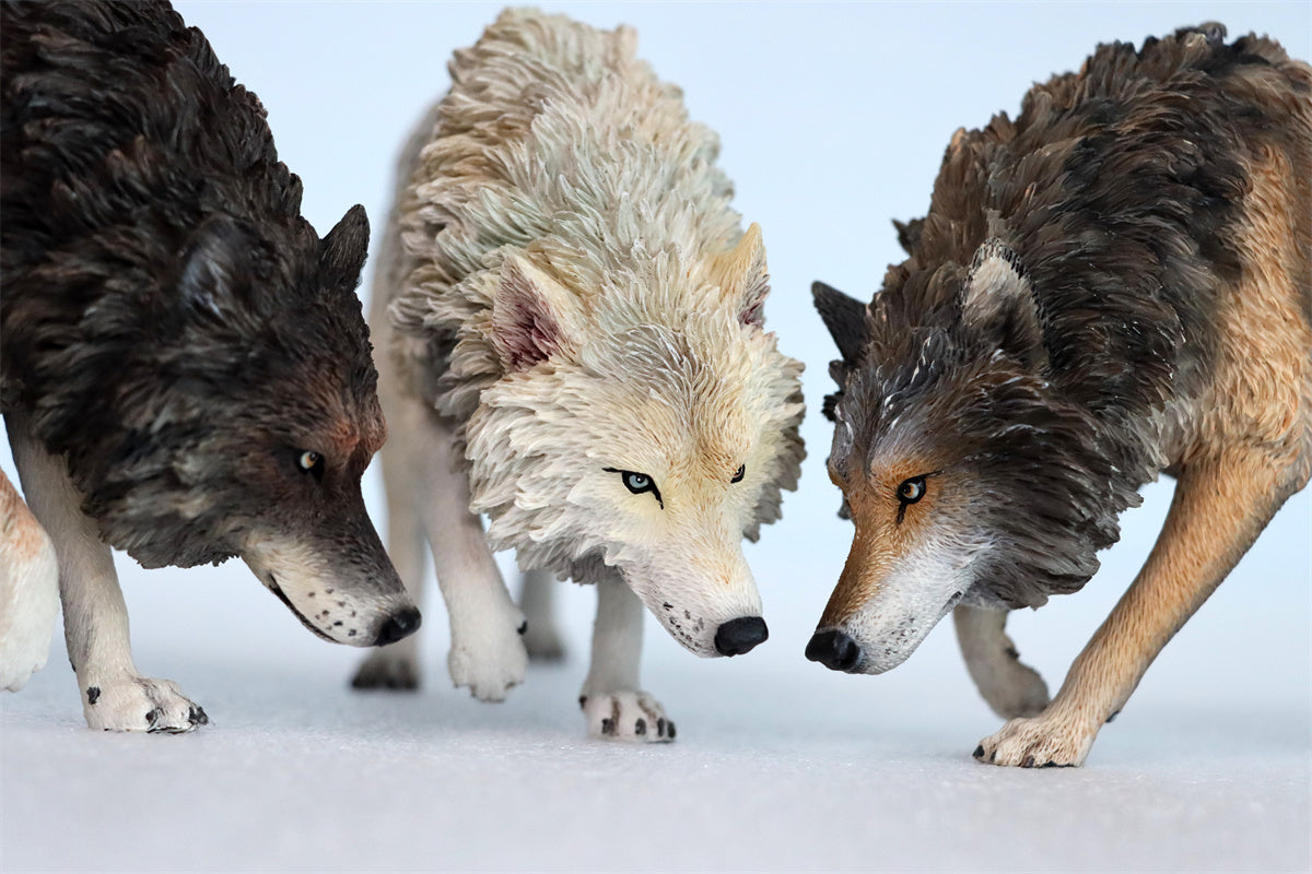 JXK 1/6 North American Gray Wolf Model