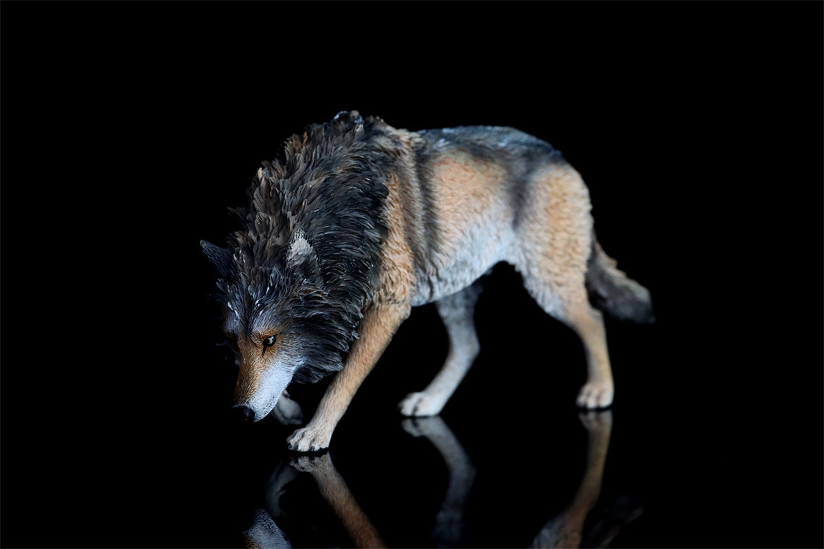 JXK 1/6 North American Gray Wolf Model