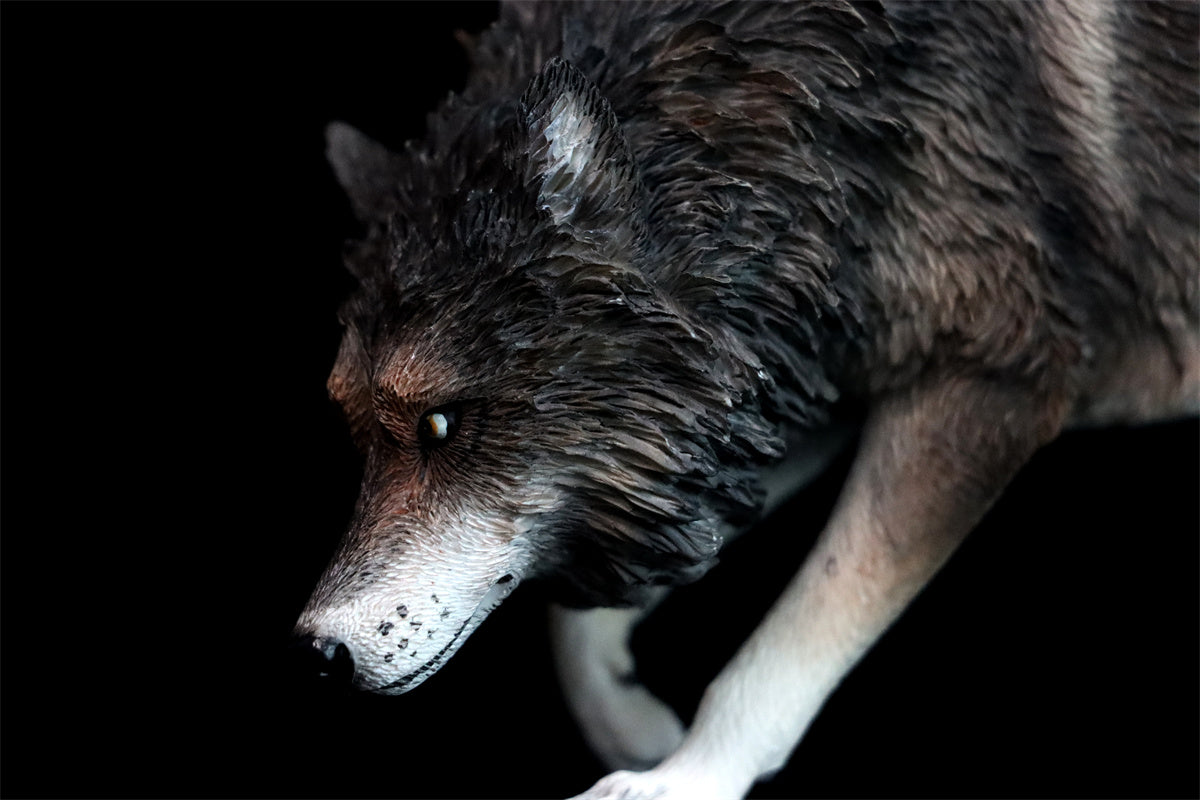 JXK 1/6 North American Gray Wolf Model