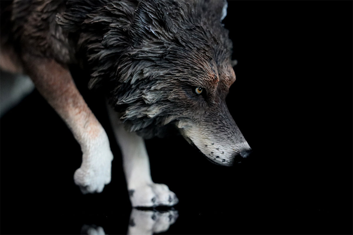 JXK 1/6 North American Gray Wolf Model