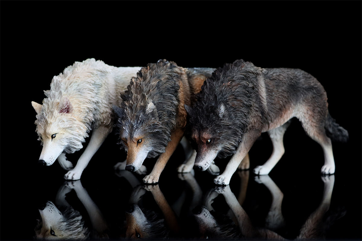 JXK 1/6 North American Gray Wolf Model