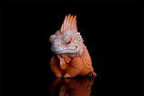 Lizard Blind Box Model