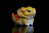 Lizard Blind Box Model