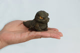 Lizard Blind Box Model