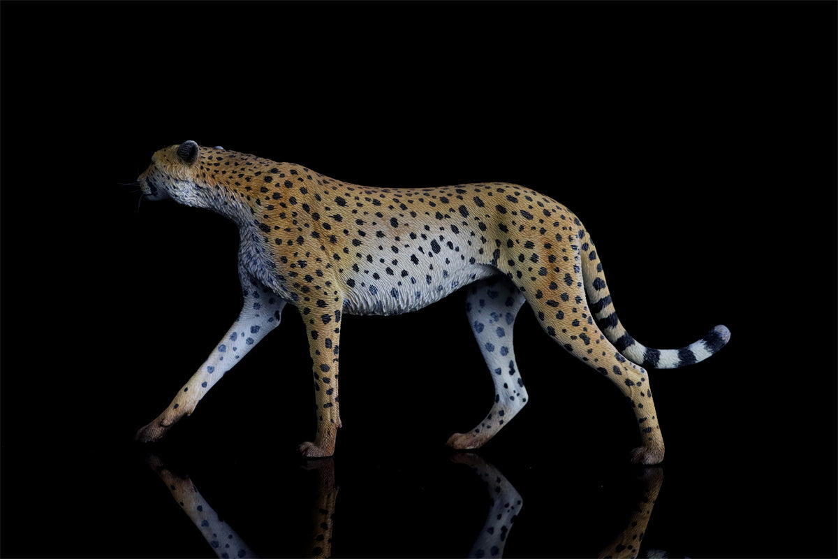 JXK 1/6 Acinonyx jubatus King Cheetha Model