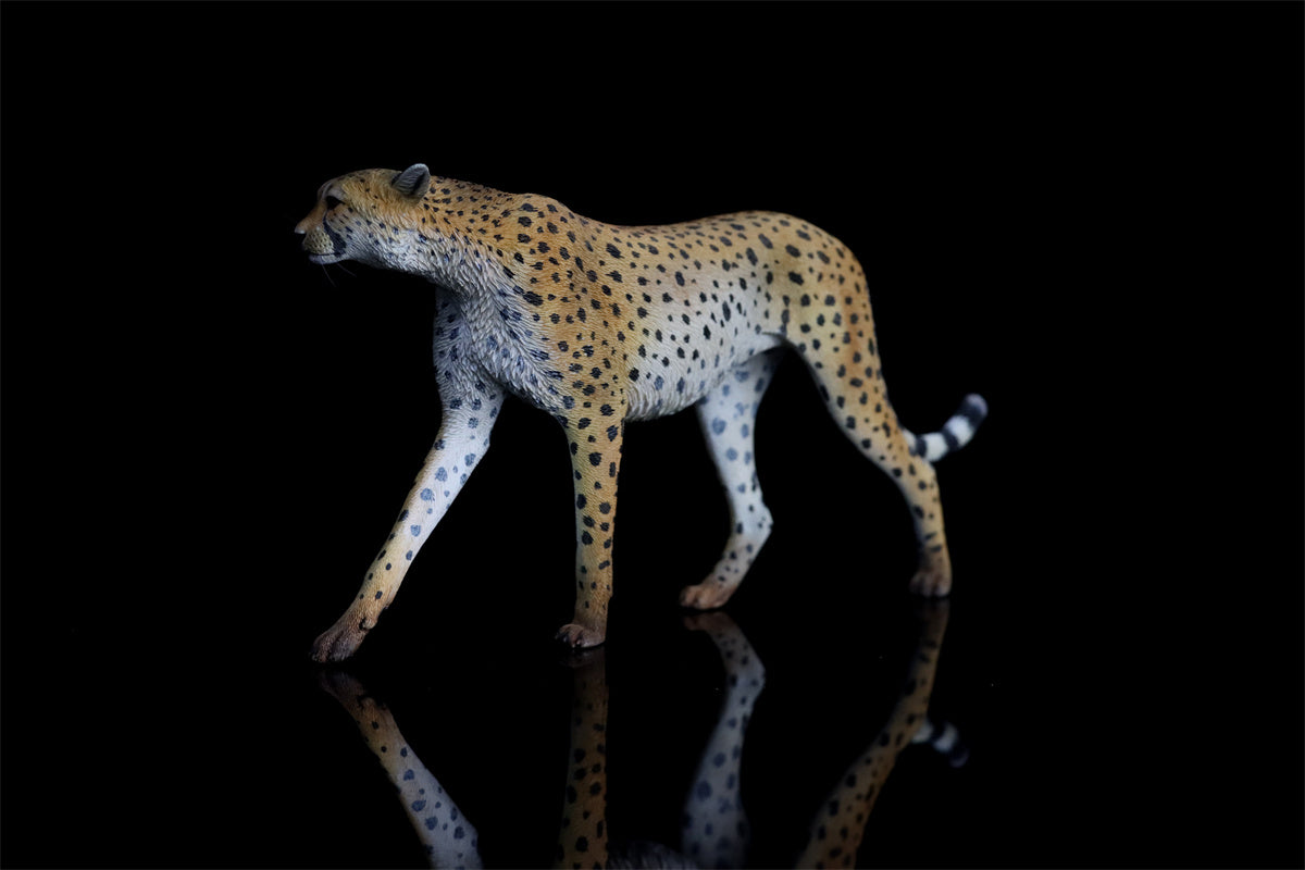 JXK 1/6 Acinonyx jubatus King Cheetha Model