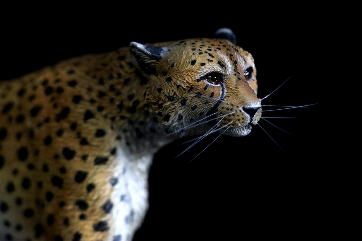 JXK 1/6 Acinonyx jubatus King Cheetha Model