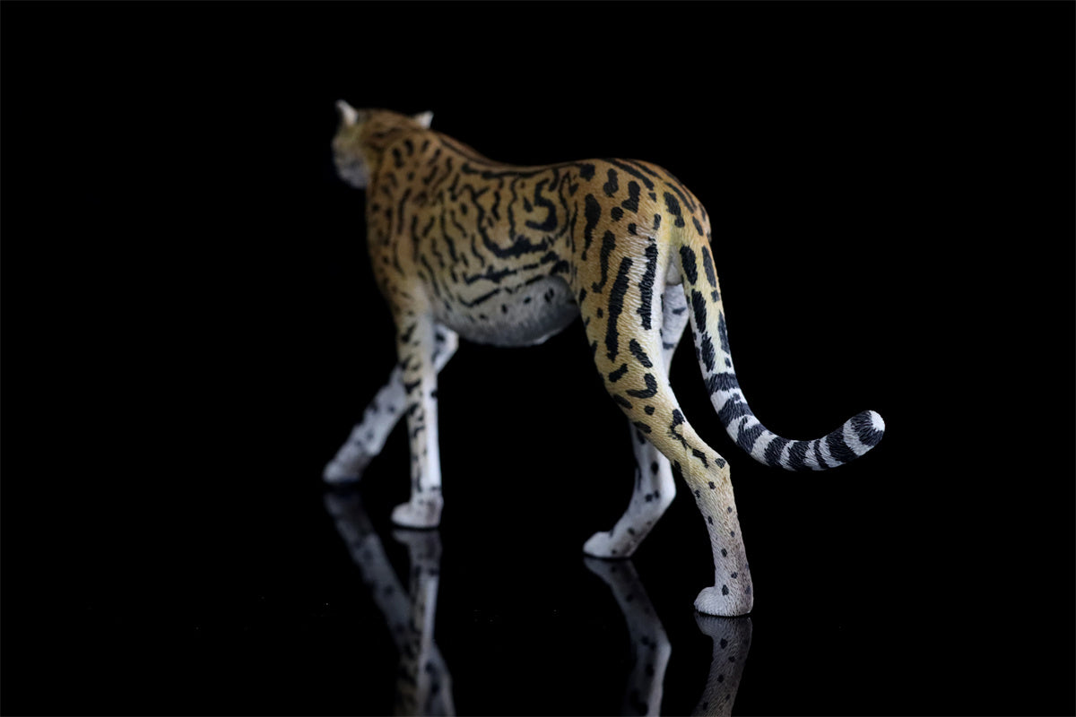 JXK 1/6 Acinonyx jubatus King Cheetha Model