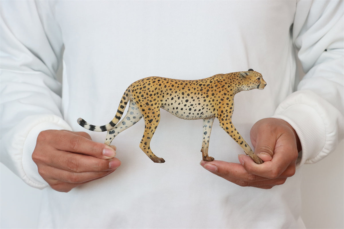JXK 1/6 Acinonyx jubatus King Cheetha Model