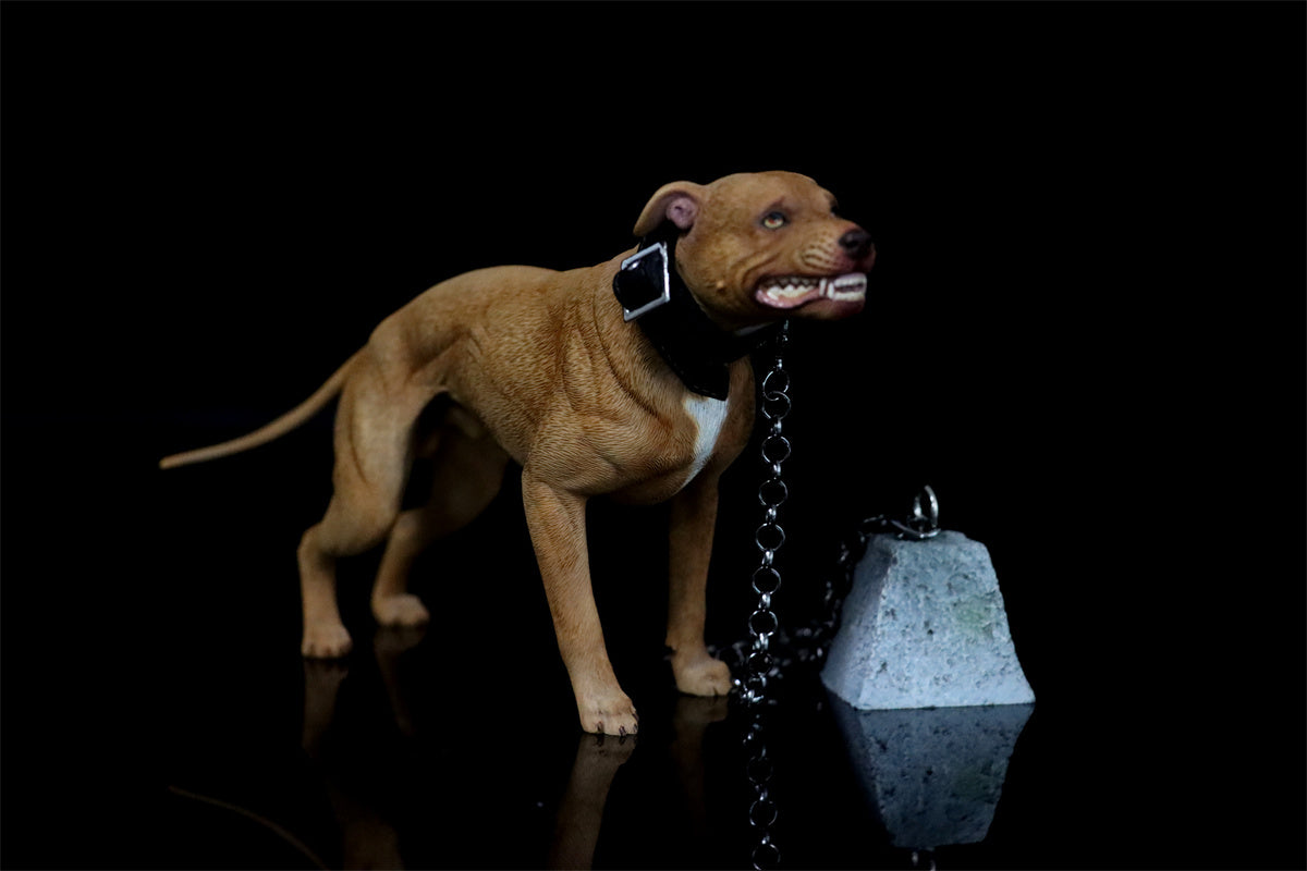 JXK 1/6 American Pit Bull Terrier Model