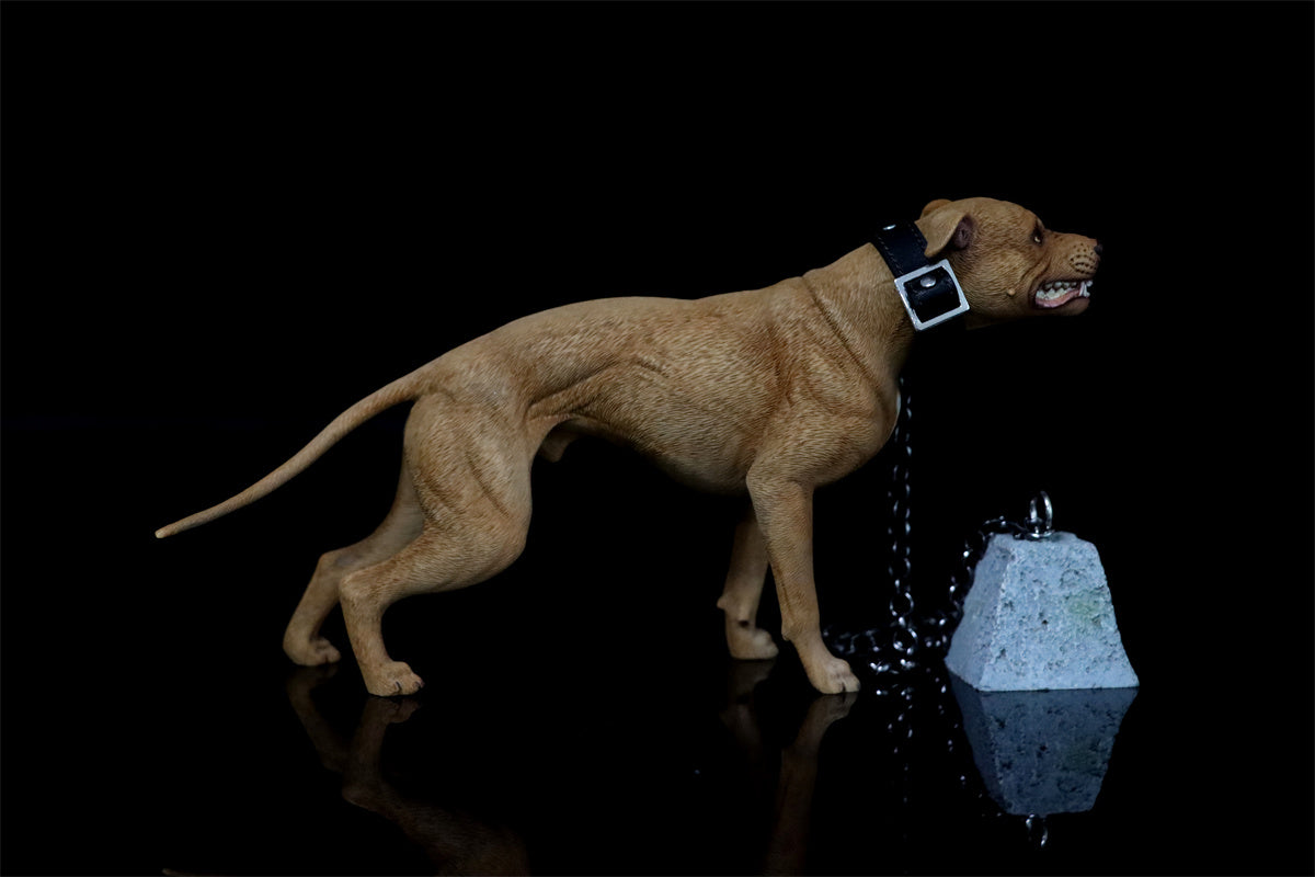 JXK 1/6 American Pit Bull Terrier Model