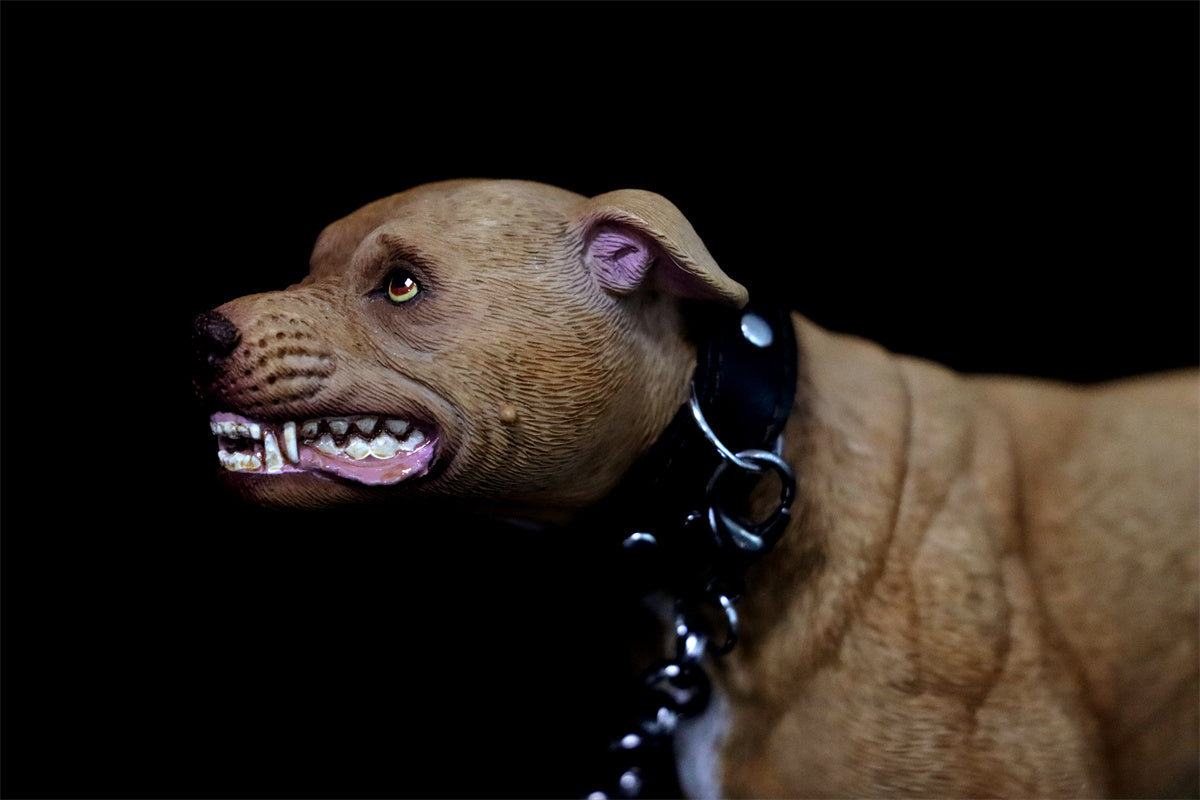 JXK 1/6 American Pit Bull Terrier Model