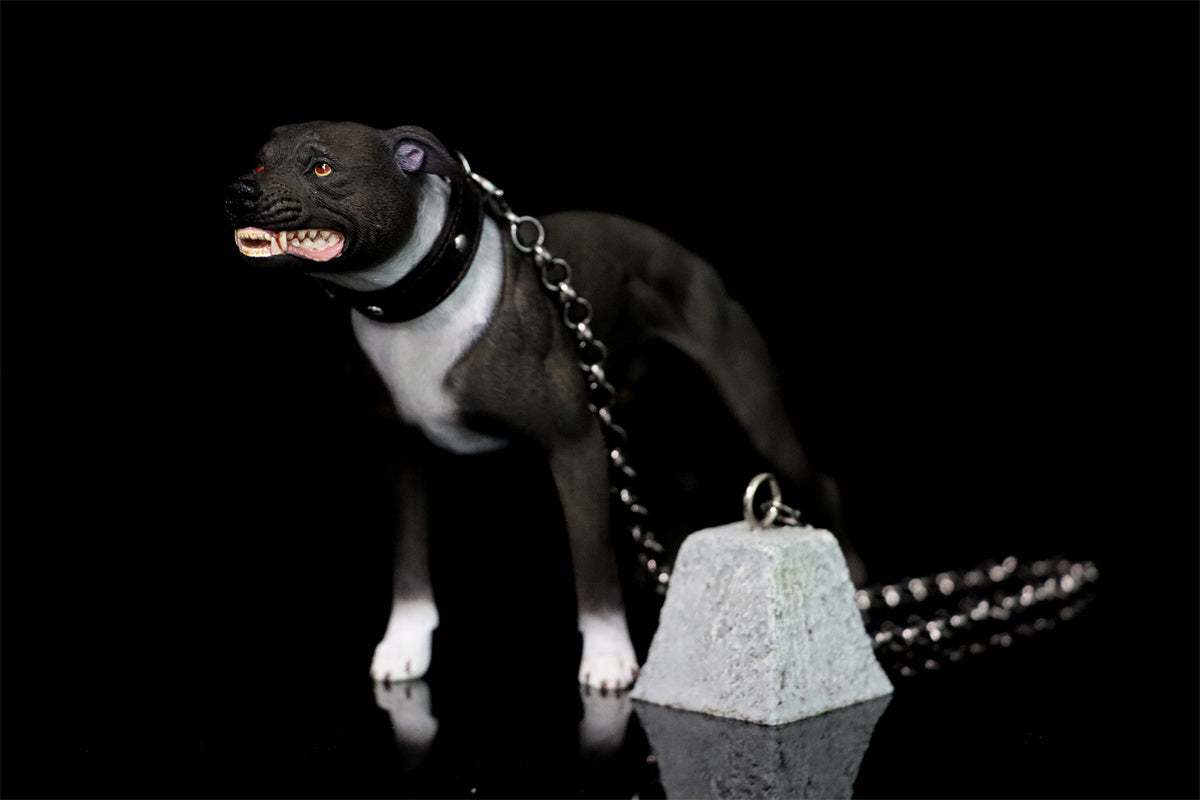 JXK 1/6 American Pit Bull Terrier Model