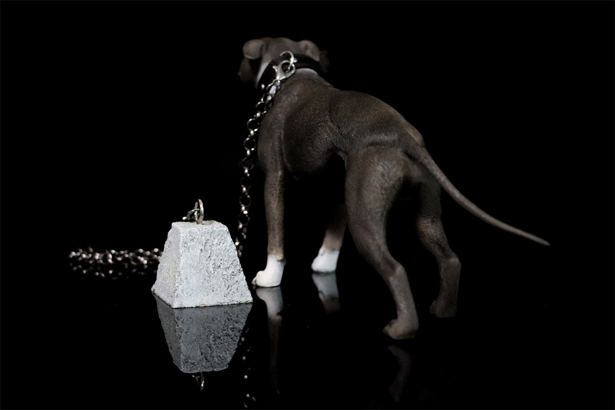 JXK 1/6 American Pit Bull Terrier Model