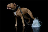 JXK 1/6 American Pit Bull Terrier Model