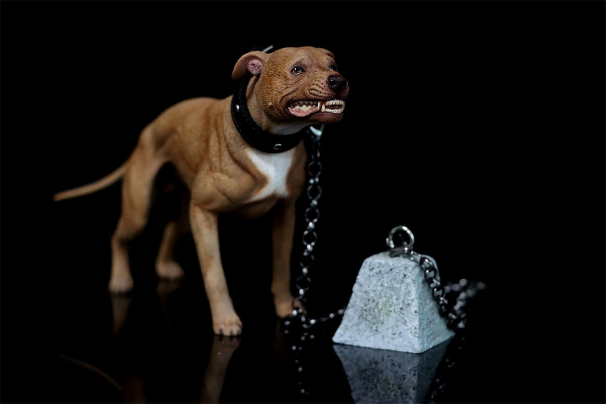 JXK 1/6 American Pit Bull Terrier Model