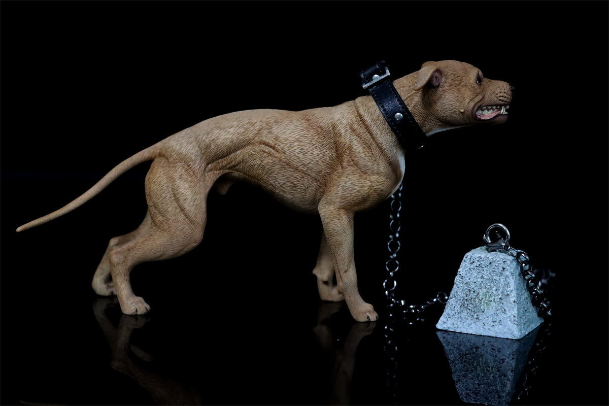 JXK 1/6 American Pit Bull Terrier Model