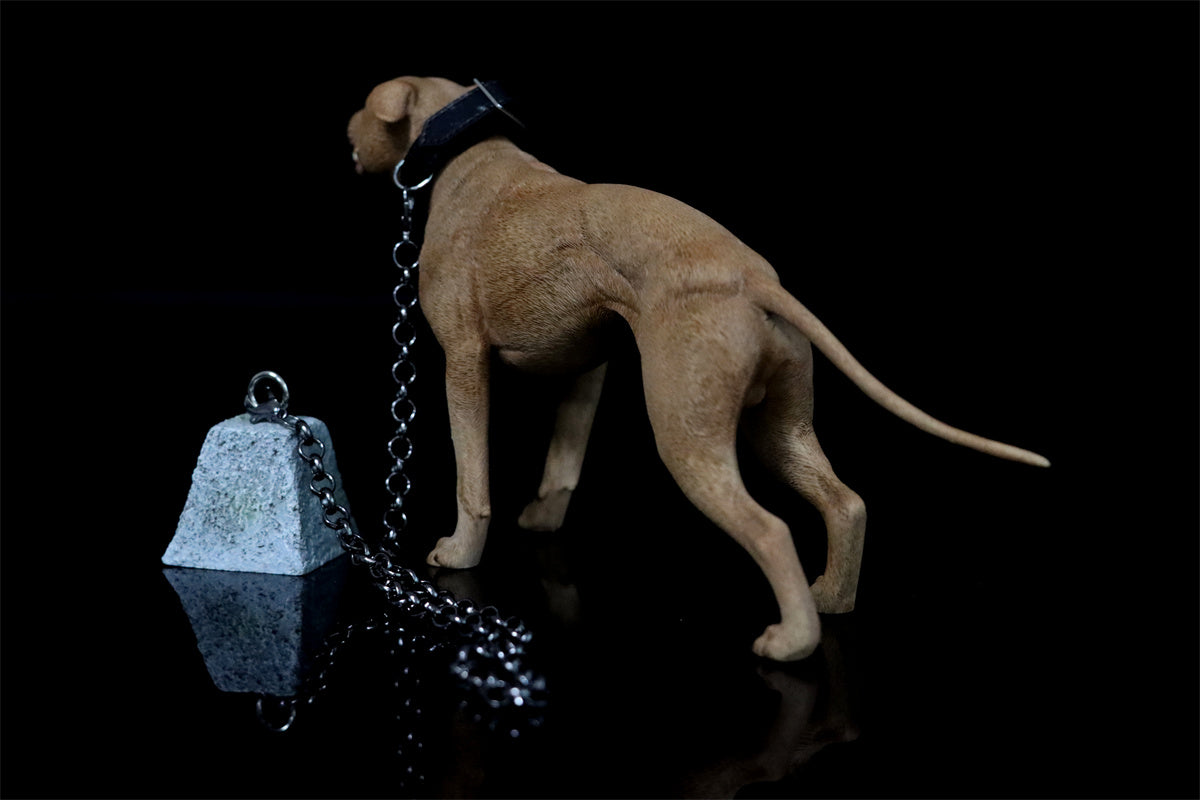 JXK 1/6 American Pit Bull Terrier Model