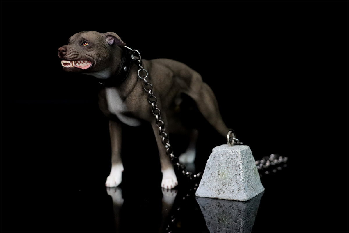 JXK 1/6 American Pit Bull Terrier Model