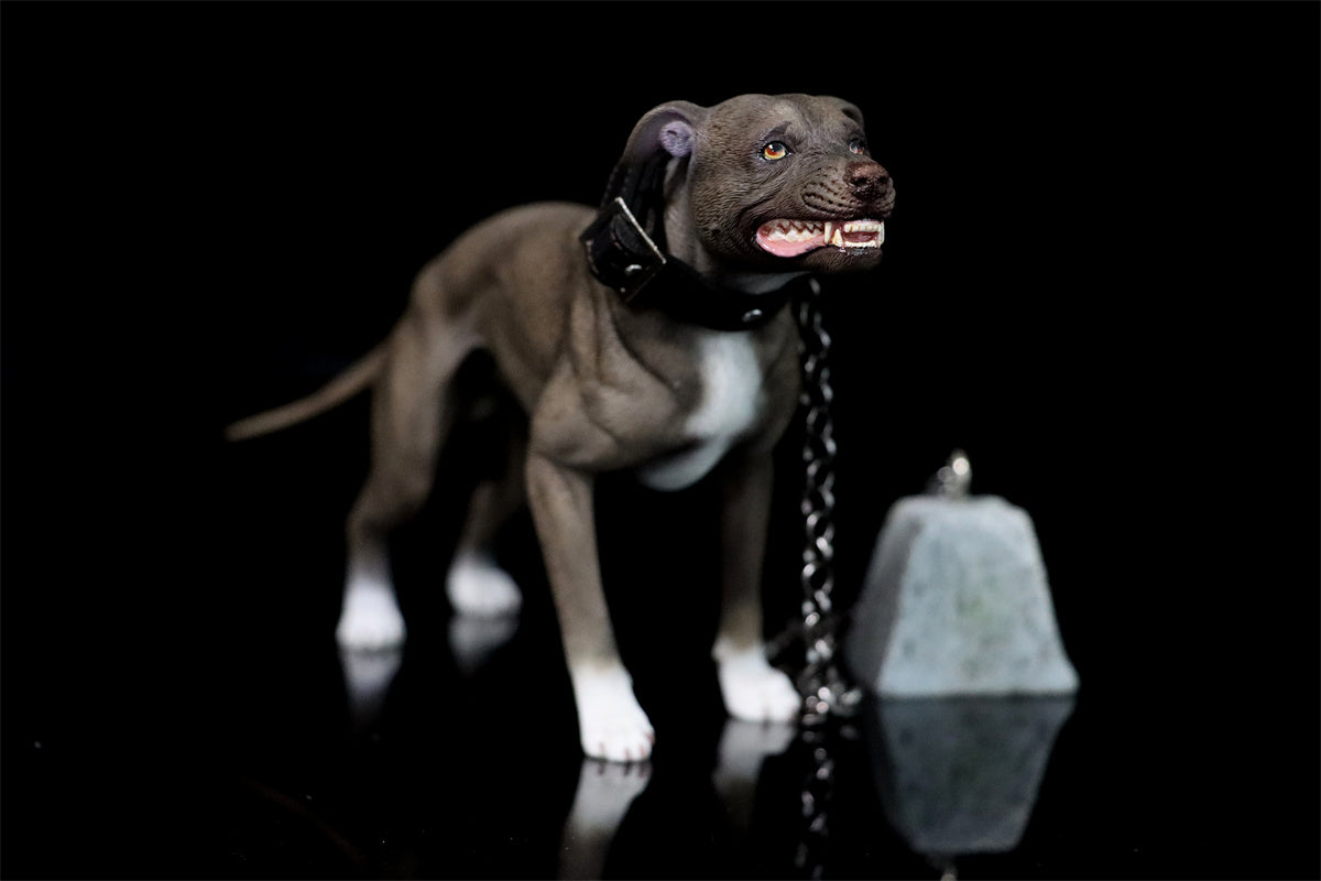 JXK 1/6 American Pit Bull Terrier Model