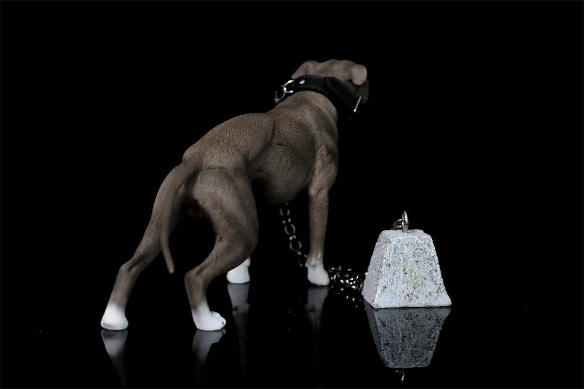 JXK 1/6 American Pit Bull Terrier Model