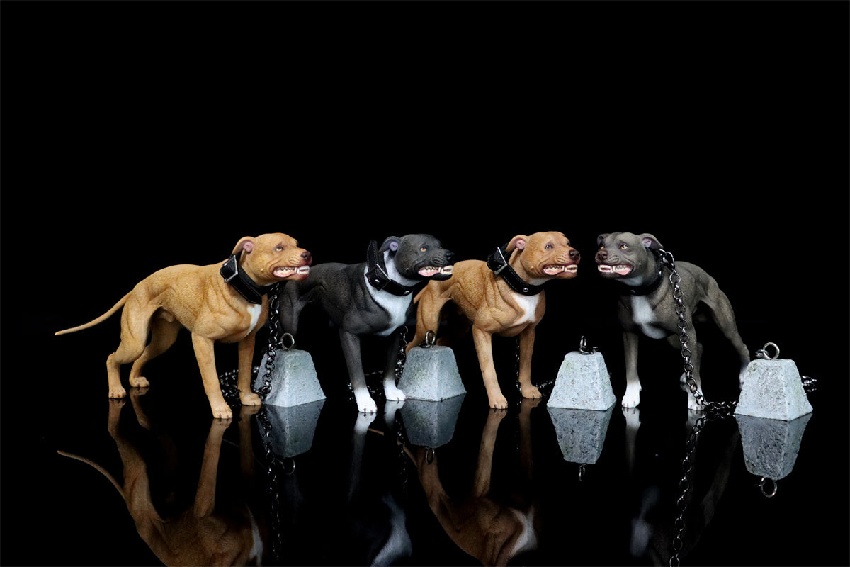 JXK 1/6 American Pit Bull Terrier Model