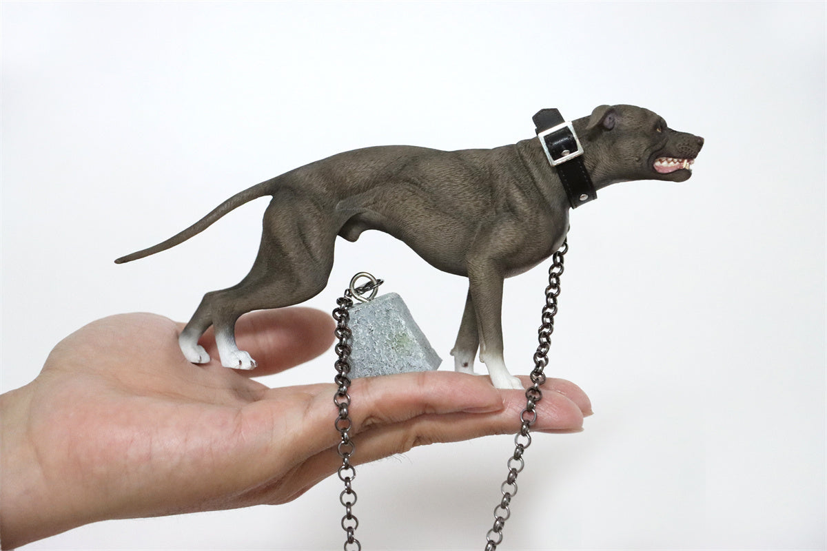 JXK 1/6 American Pit Bull Terrier Model