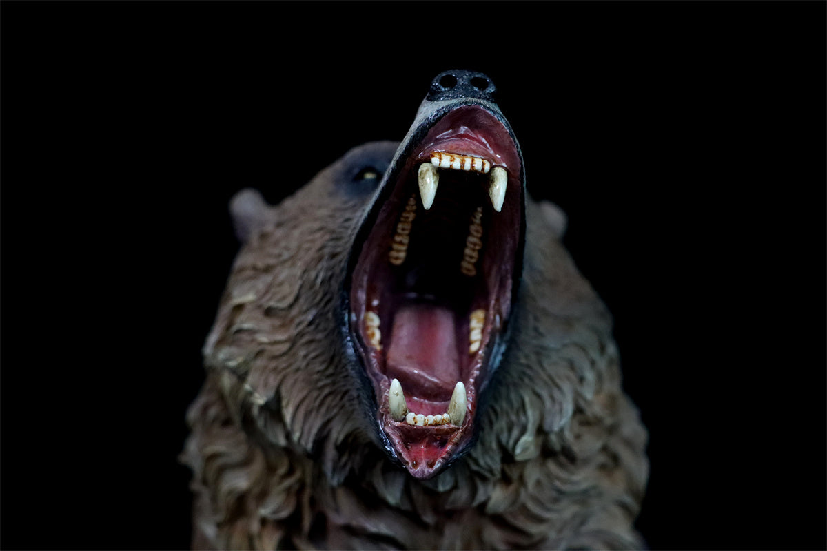 JXK 1/6 Brown Bear Model