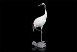 JXK 1/6 Red-crowned Crane Model