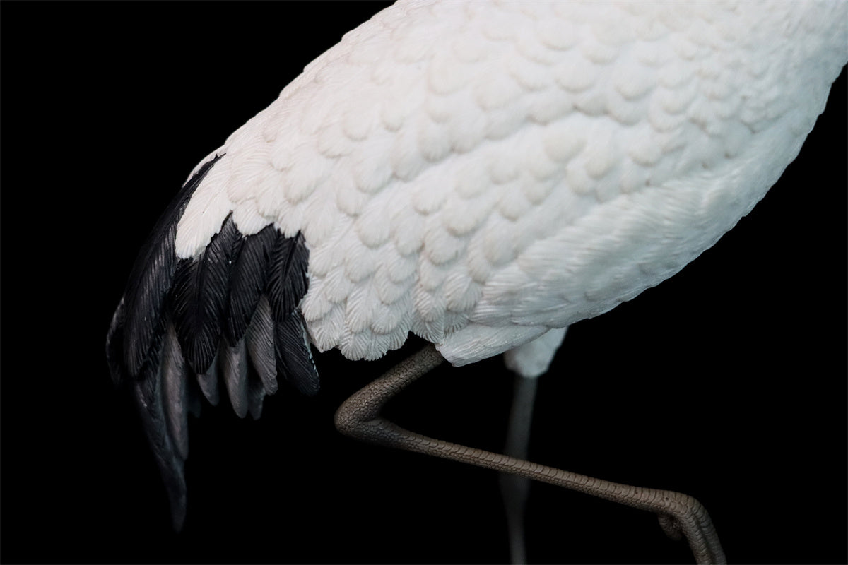 JXK 1/6 Red-crowned Crane Model