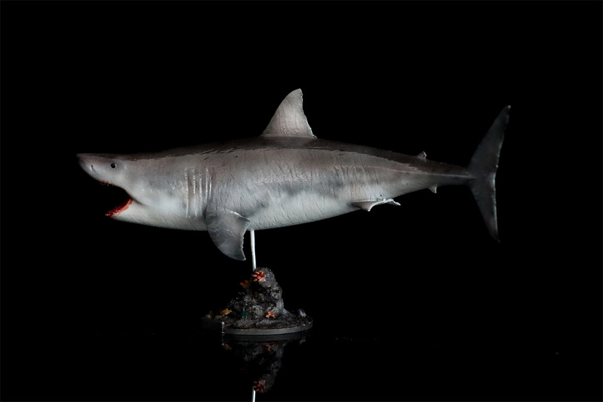 Rheic 1/35 Great White Shark Model