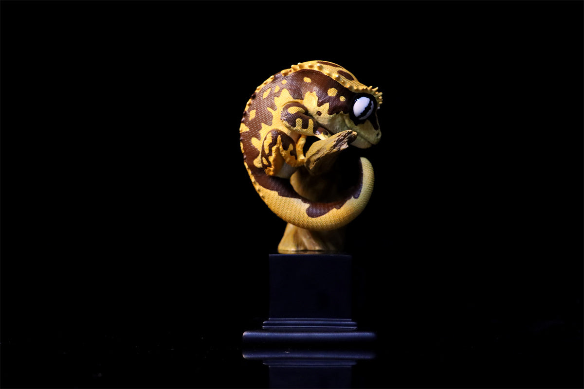 Pet Gekko Blind Box Model