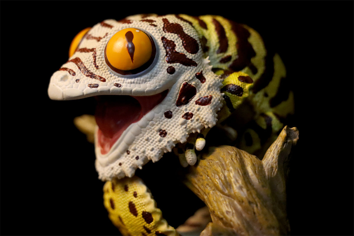 Pet Gekko Blind Box Model