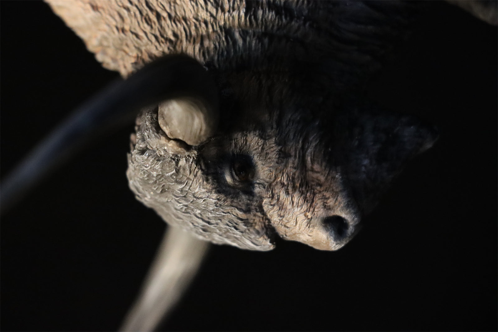 Alex Studio Bison latifrons Model