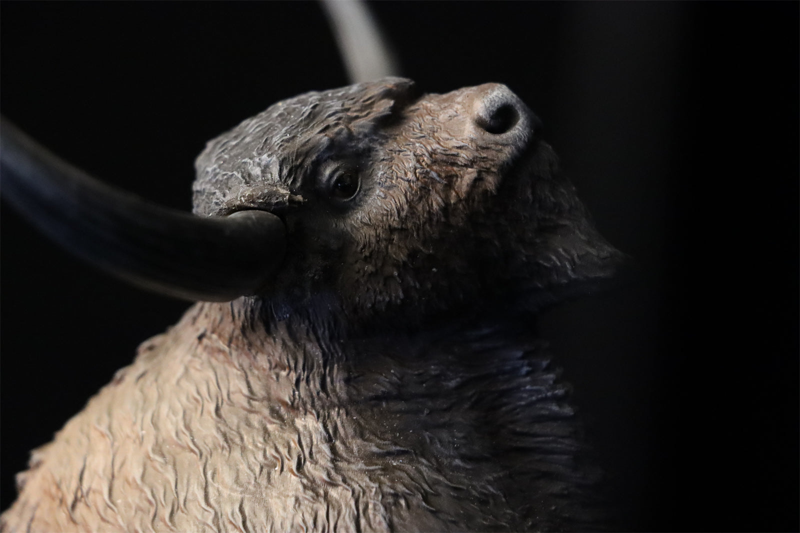 Alex Studio Bison latifrons Model