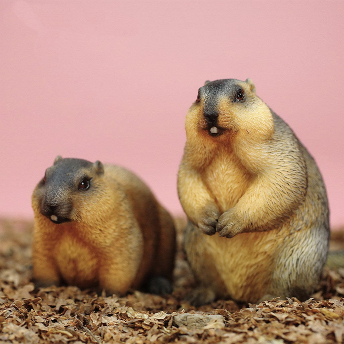 Mr.z 1/6 Marmota Figure