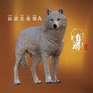 Arctic Wolf Family Model