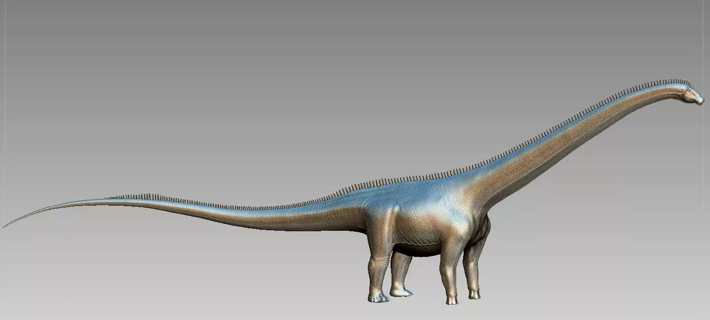Barosaurus Model Kit