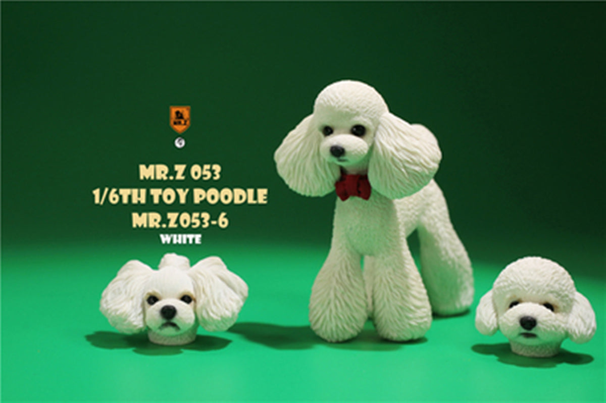 Mr.Z 1/6 Toy Poodle Dog Figure – Lana Time Shop