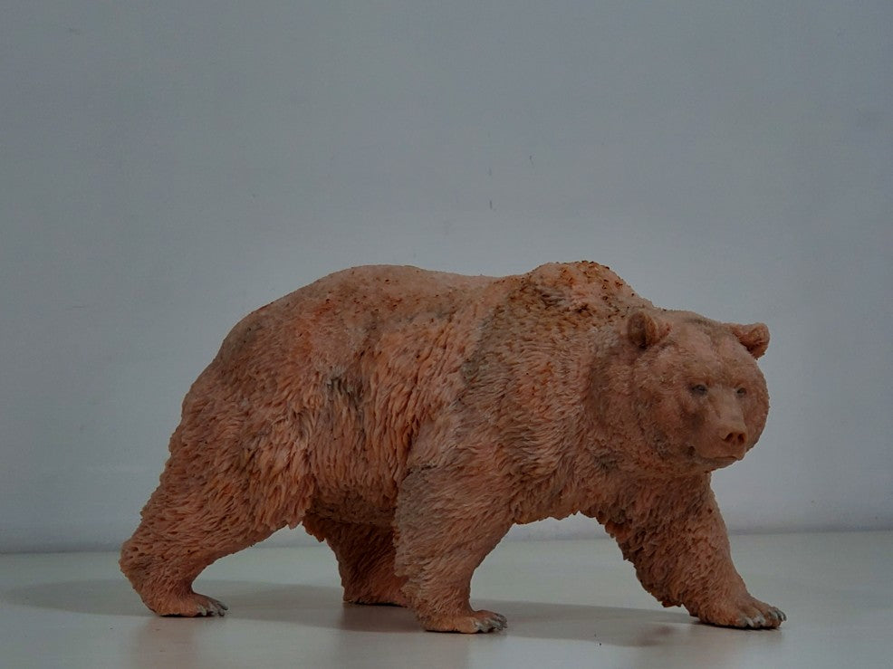 tunan 1:10 Scale Ursus arctos Brown Bear Model