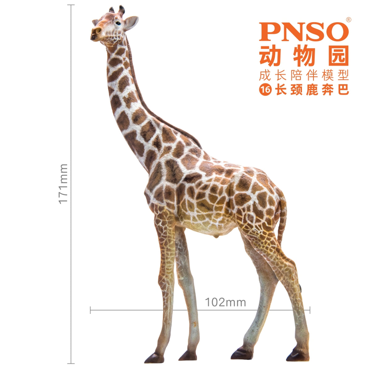 PNSO Giraffe Model