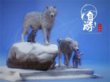 Arctic Wolf Family Model