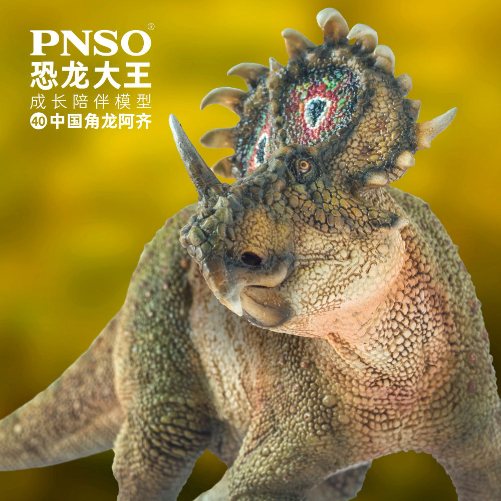 PNSO Sinoceratops Model
